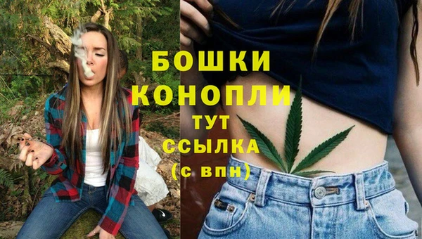 СК Аркадак