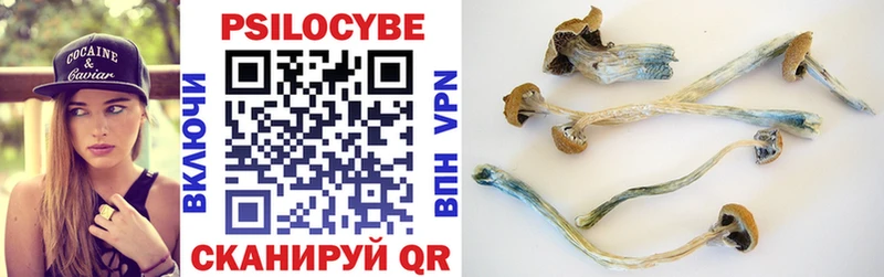 MEGA маркетплейс Усть-Джегута Галлюциногенные грибы Psilocybine cubensis
