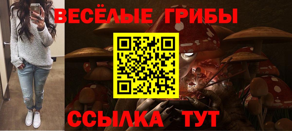 Усть-Джегута  Галлюциногенные грибы прущие грибы  Псилоцибиновые грибы ЛСД  Вход с VPN 